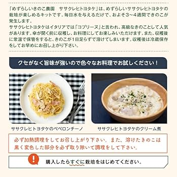 きのこさん専用 楽天市場】☆サイズをお選びください☆毒きのこ・ベニテングダケ